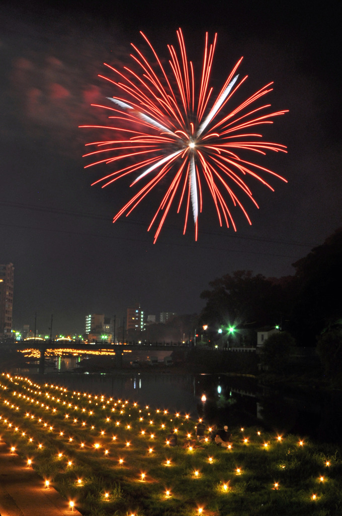 赤花火