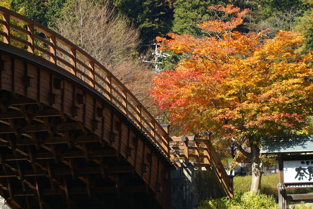 紅葉＆大橋