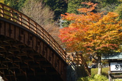 紅葉＆大橋