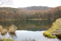 東山魁夷「緑響く」のモデル御射鹿池