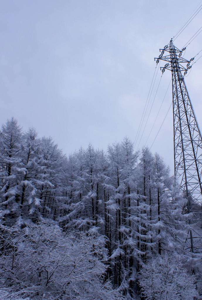 誰も知らない世界