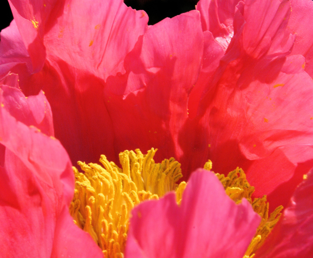 今朝の散歩にて 3