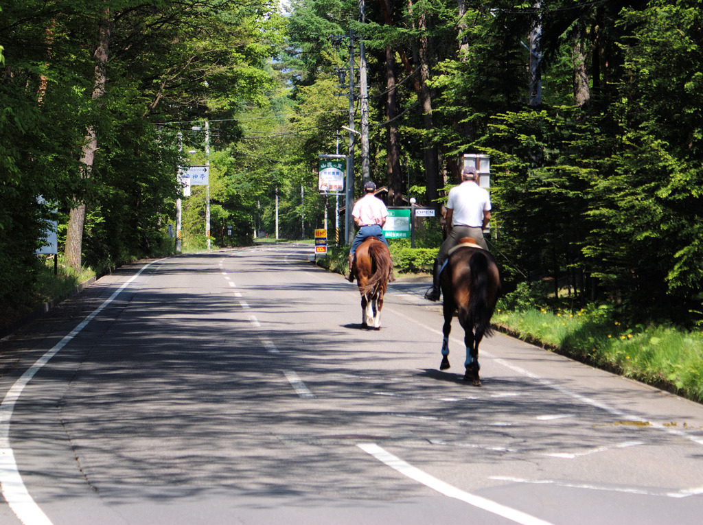 蹄の音も軽やかに