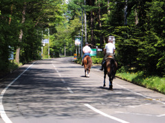 蹄の音も軽やかに