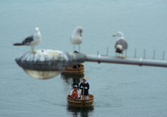　カモメは無視？たらい船