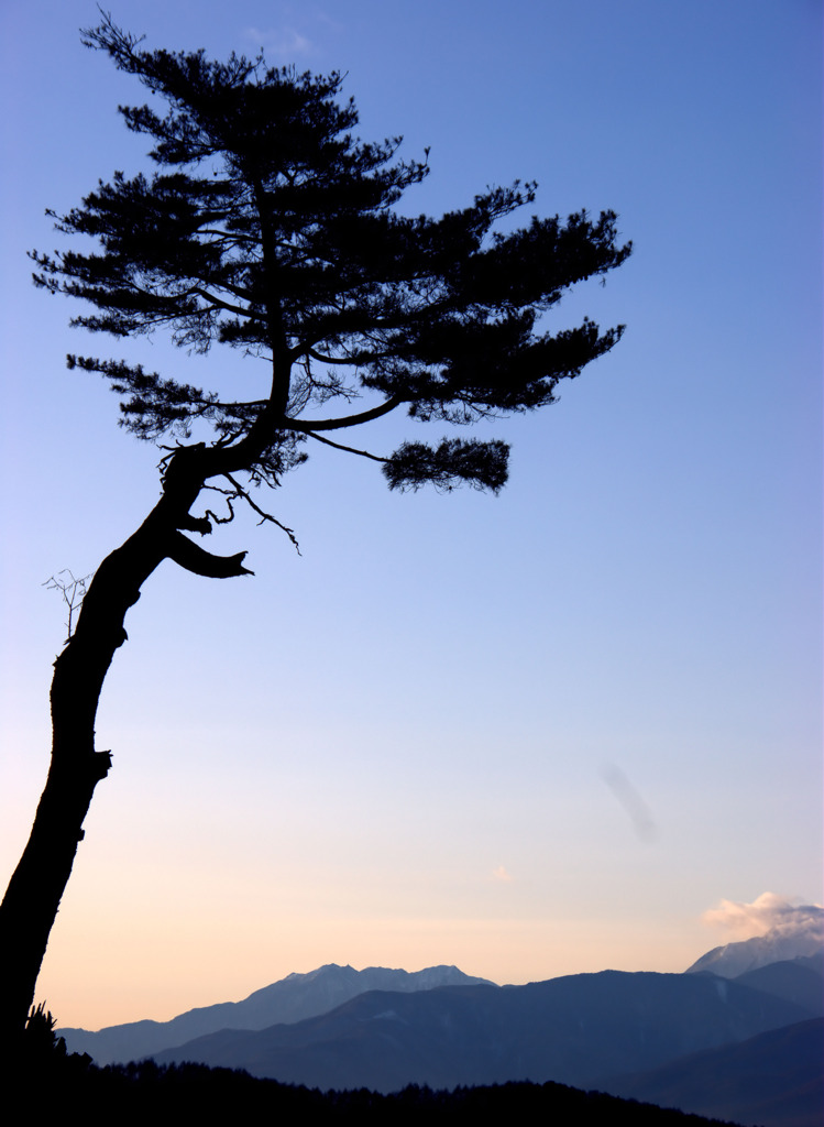 23012301 - コピー