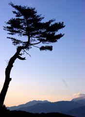 23012301 - コピー