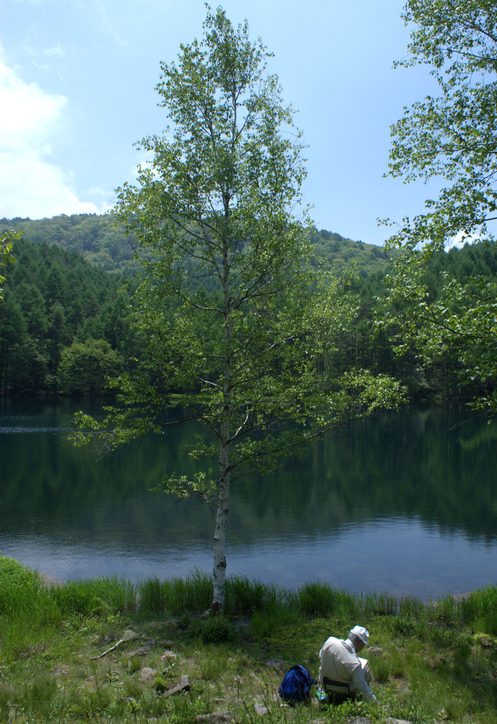 東山魁夷画伯白馬のいる「緑響く」モデル湖にて２