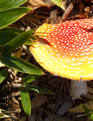 たべたら・・・