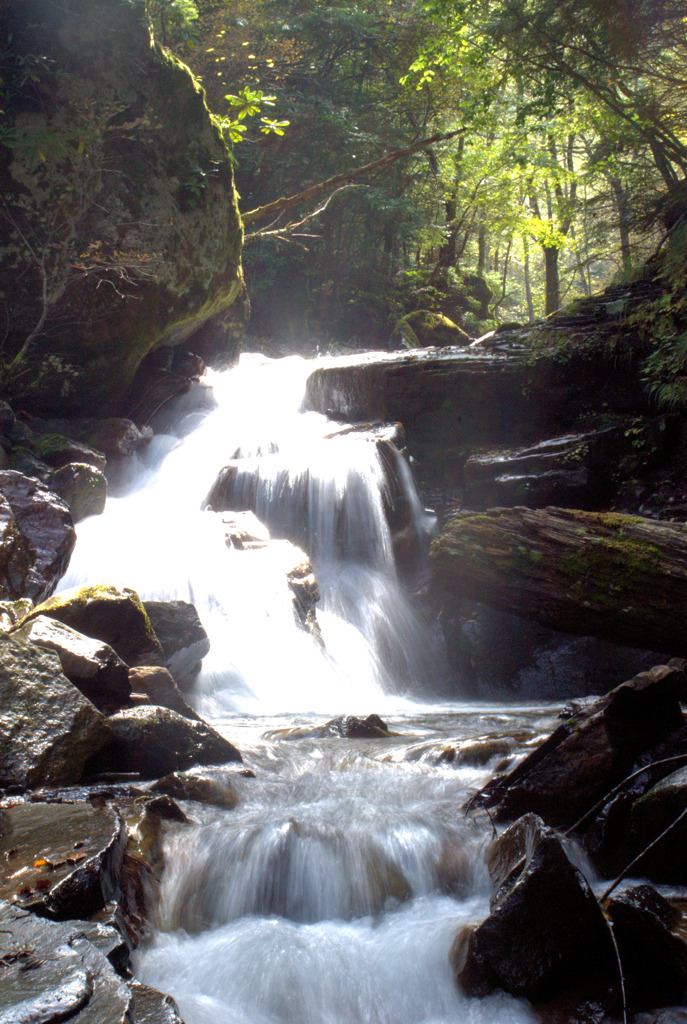 夏沢鉱泉付近にて