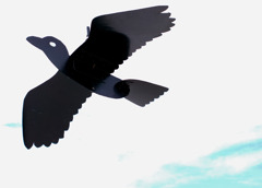 佐渡フェリーと共に