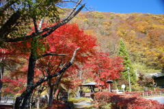 紅葉の中一休み