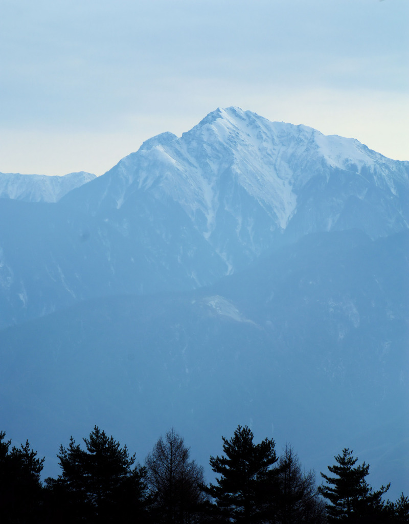 存在感　アルプス