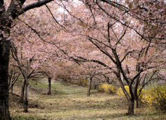 待ちに待った日