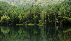 東山魁夷画伯白馬のいる「緑響く」モデル湖にて