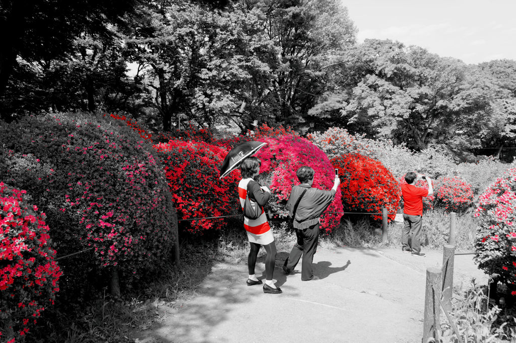 2012051904