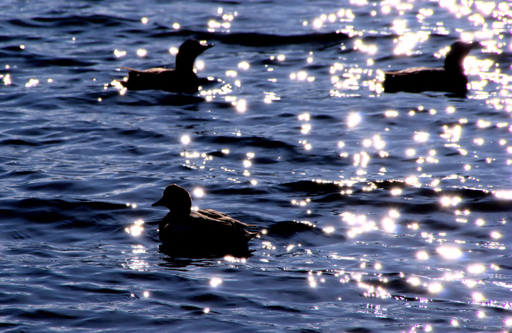 23012203 - コピー