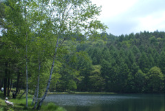 東山魁夷画伯白馬のいる「緑響く」モデル湖にて３