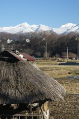 散歩の途中にて