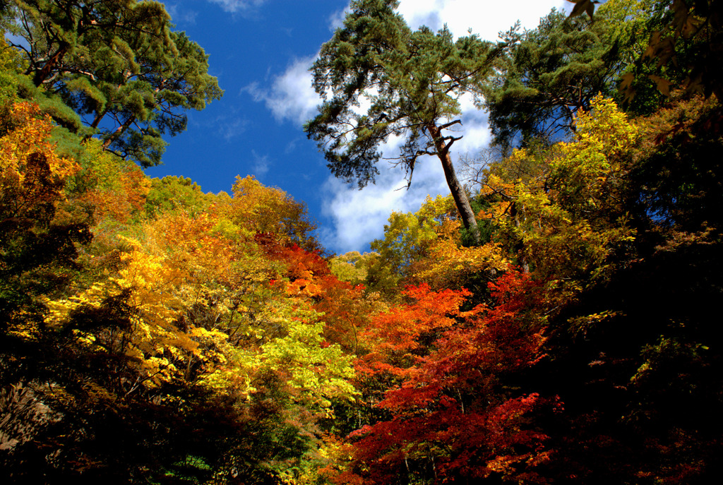 諏訪阿弥陀寺にて