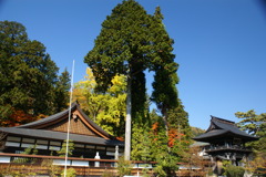 木曽義仲ゆかりのお寺