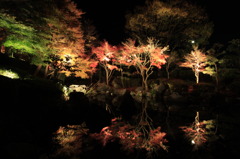 神奈川県大磯城山公園２