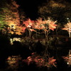 神奈川県大磯城山公園２