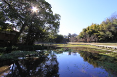 厳島自然公園
