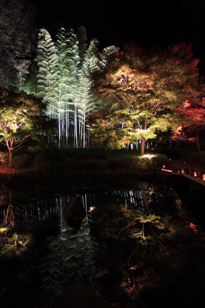 神奈川県大磯城山公園４