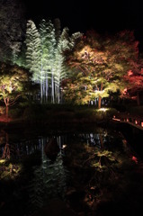 神奈川県大磯城山公園４
