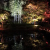 神奈川県大磯城山公園４