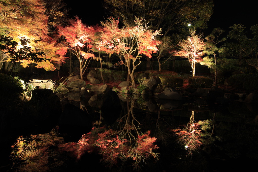 神奈川県大磯城山公園１