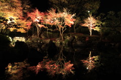 神奈川県大磯城山公園１