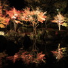 神奈川県大磯城山公園１