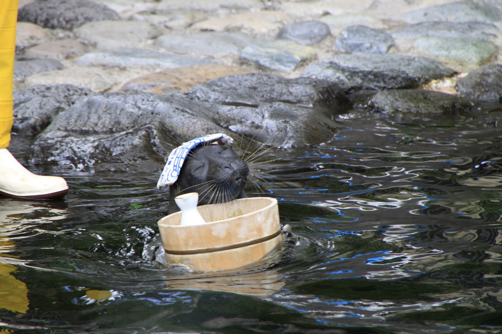 箱根園水族館