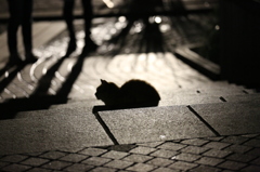 シルエット猫