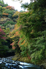 箱根紅葉3
