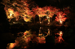 大磯城山公園