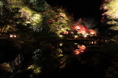 神奈川県大磯城山公園３