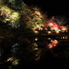 神奈川県大磯城山公園３