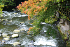 箱根紅葉5