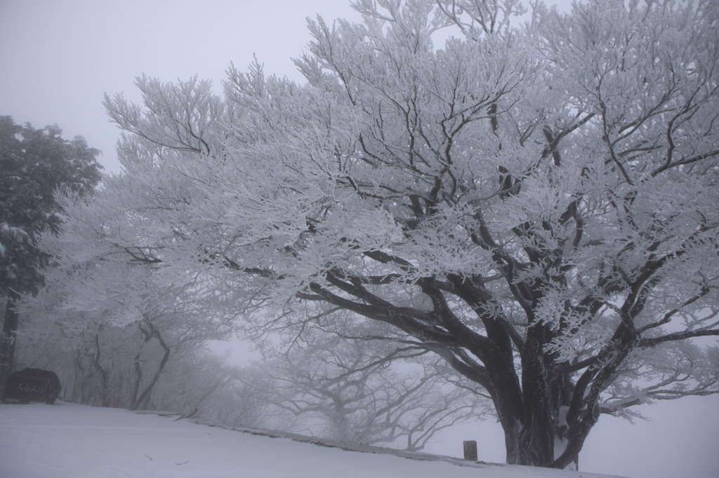 雪の大山（神奈川）