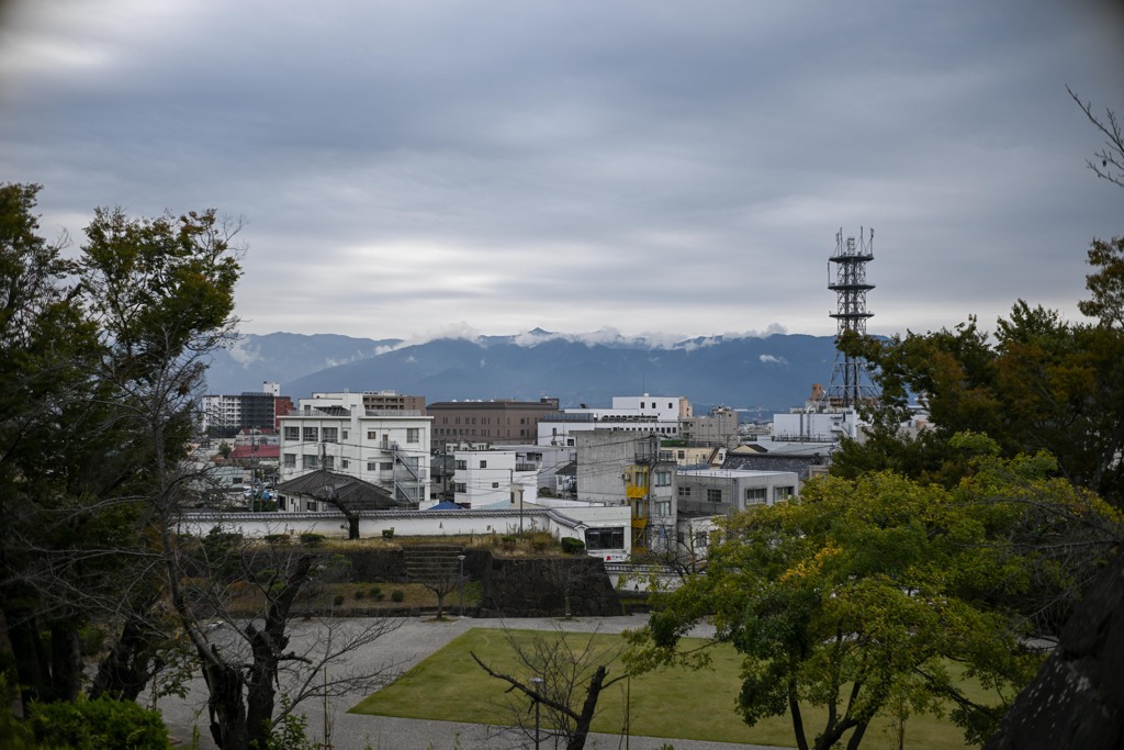 Z8A_1114