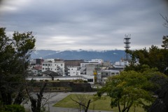 Z8A_1114