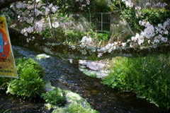 DSC00160
