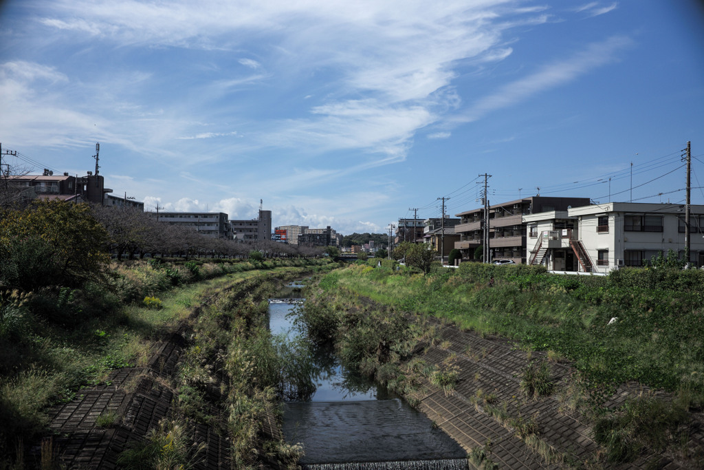 M0001894　草刈りして下さい。
