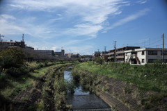 M0001894　草刈りして下さい。