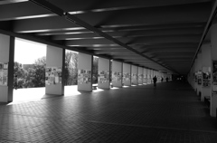 L1010250