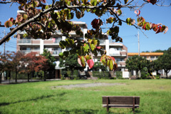 M0001895