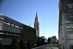 Z8A_0342_03